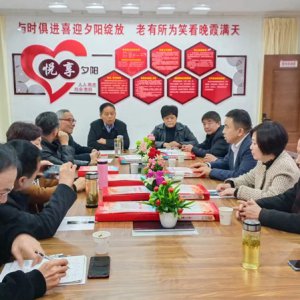 鹿城鎮(zhèn)老年協(xié)會(huì)學(xué)習(xí)宣傳貫徹黨的二十大精神，結(jié)合實(shí)際做好自身工作討論會(huì)召開(kāi)